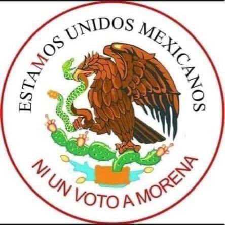 TheFakeCorrupto's tweet image. La fórmula y el antidoto para salvar a México de un futuro sombrío y destructivo es votar en contra de MORENA.
Si los ciudadanos NO salen a votar el #2DJ el CHAIRO gana pero si los CIUDADANOS VAN A VOTAR, el chairo pierde.
El chairo no es el pueblo y no deciden. Los Méxicanos si.