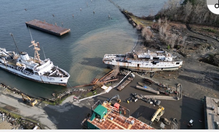 malloyd60's tweet image. @DFO_Pacific @DiLebouthillier
@FishOceansCAN @Transport_gc
@environmentca @s_guilbeault @BruceRalston @nathancullen Your own DFO research states Baynes Sound needs protection! Where are you now when Pollution Abatement Order issued! Nowhere! waves-vagues.dfo-mpo.gc.ca/Library/347995…