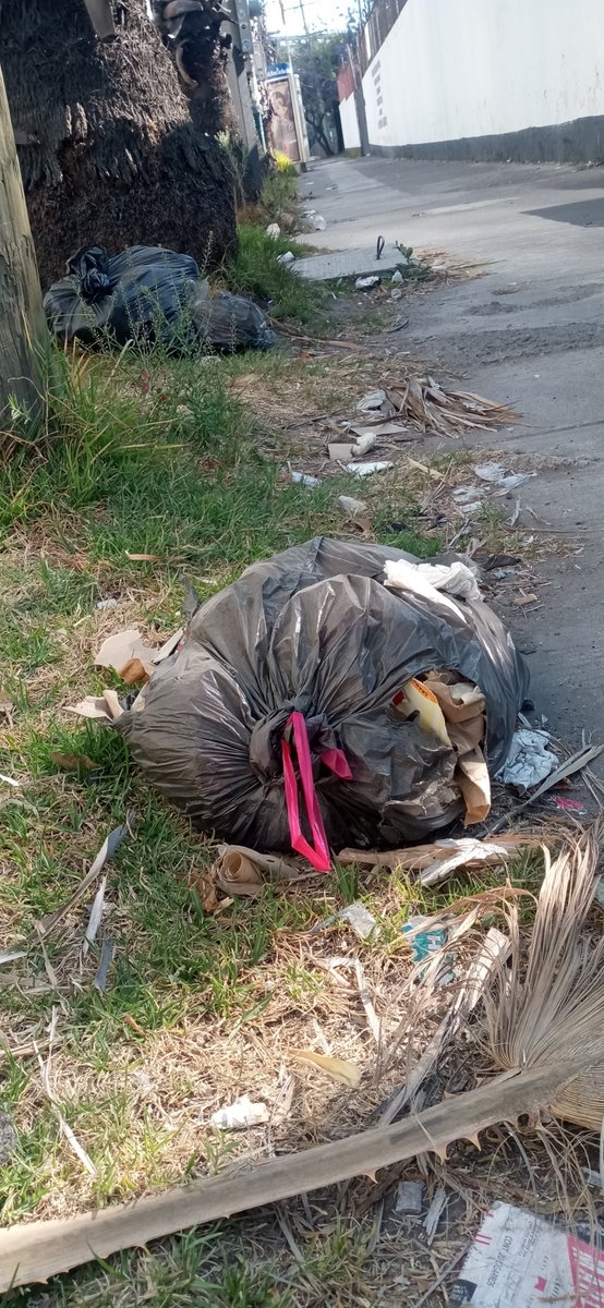 cuida_laciudad's tweet photo. "Av. Santa Fe esq. Francisco J. Serrano, la basura es recurrente. Pedimos a @AlcCuajimalpa y @DirLimpiaCuaji medidas y sanciones ejemplares. ¡Hagamos de esta esquina un ejemplo de limpieza y respeto! #NoMasBasura #CuidemosNuestroEntorno"  ccp @AdrianRubalcava https://t.co/KsYT7bxGff