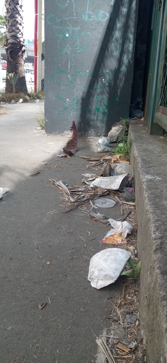 cuida_laciudad's tweet photo. "Av. Santa Fe esq. Francisco J. Serrano, la basura es recurrente. Pedimos a @AlcCuajimalpa y @DirLimpiaCuaji medidas y sanciones ejemplares. ¡Hagamos de esta esquina un ejemplo de limpieza y respeto! #NoMasBasura #CuidemosNuestroEntorno"  ccp @AdrianRubalcava https://t.co/KsYT7bxGff