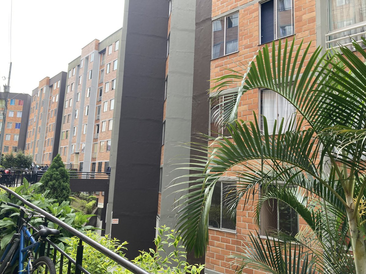 Hernán Muñoz Álvarez tweet media