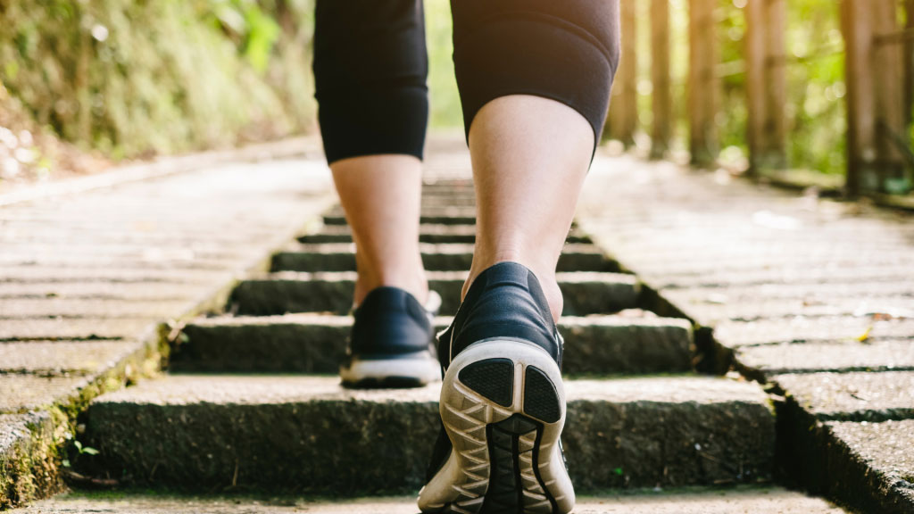 HeyDavidShane's tweet photo. Watch your steps! There is a fine line between discipline and legalism. Don't let details and practices become your god. Instead, with a humble heart, let the Lord guide your steps. https://t.co/8E1beUuEEY