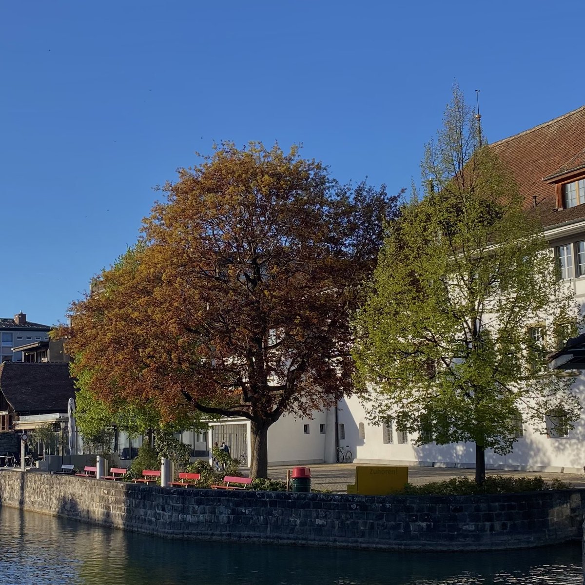 hello:) ㅡ thun, switzerland