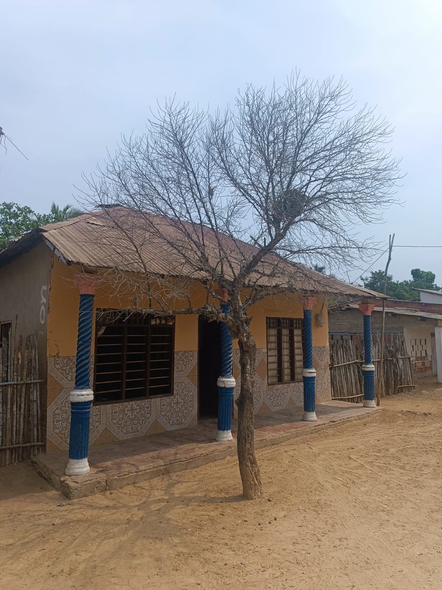 En 1599, Benkos Biohó escapó de la esclavitud para luego fundar el Palenque de la Matuna, en el camino a la Villa de Tolú. Cuatro siglos después, el Palenque de la Matuna, hoy convertido en el corregimiento de Rocha, sigue resistiendo el peso de la desigualdad.