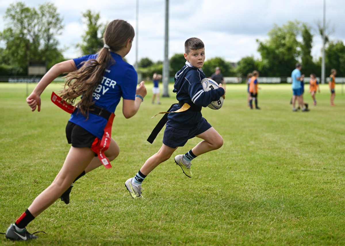 Leinster Domestic tweet media