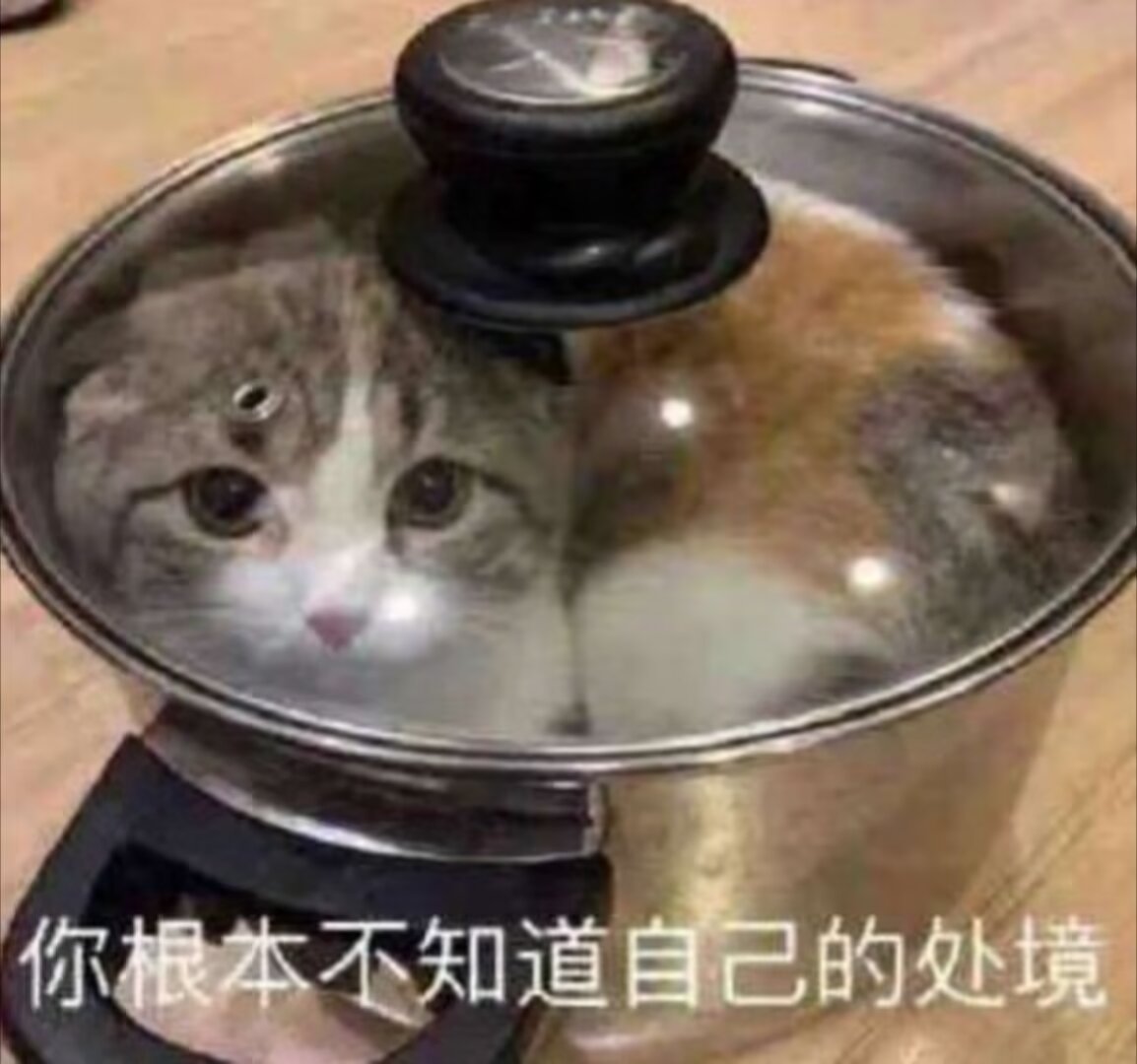 Wh1teByte's tweet image. 我好累