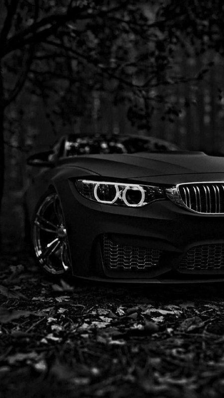 TradeMark54's tweet photo. Black! Black! Black! https://t.co/hIyrzVKcp8