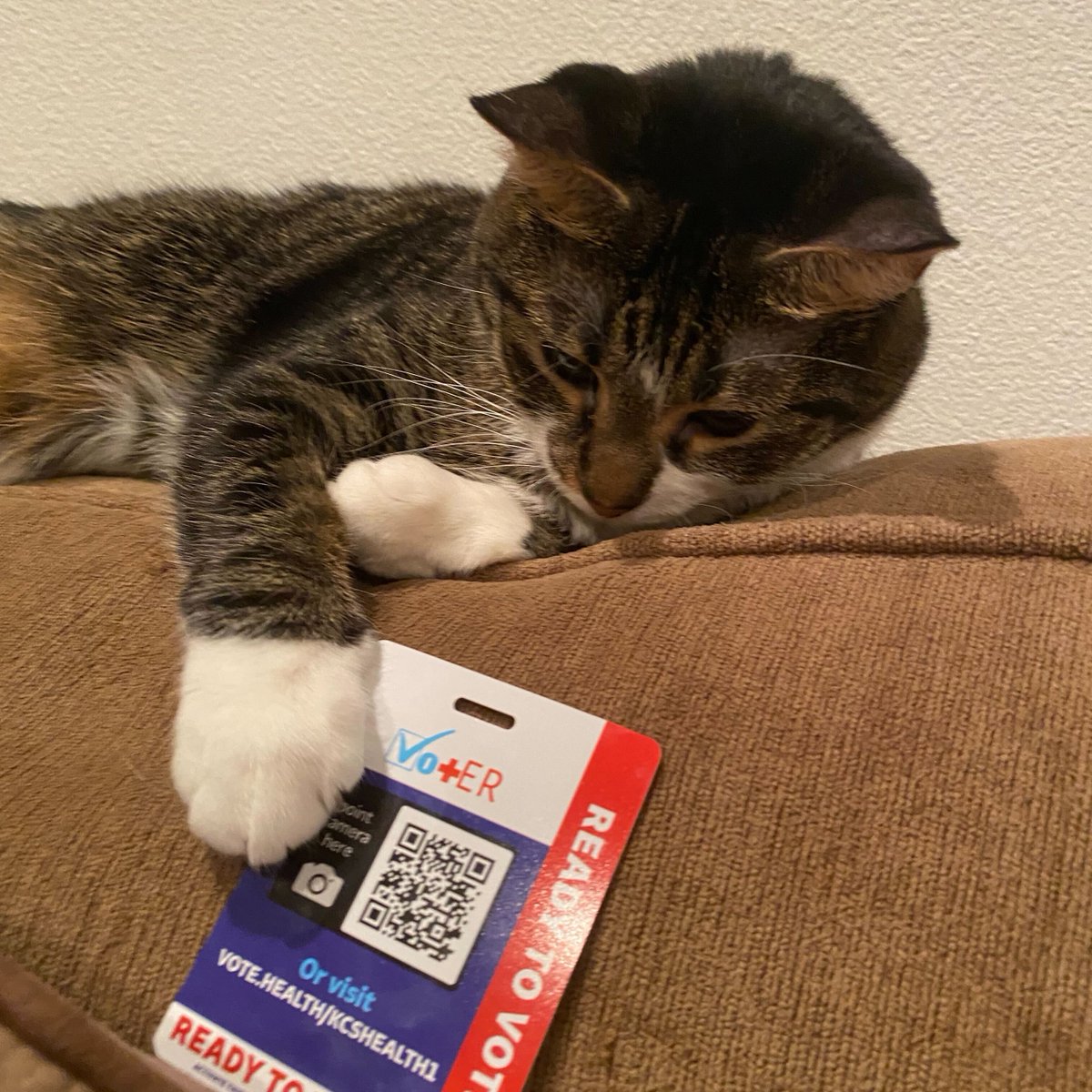 Paws for a cause! 🐾 Our furry friend Sahara is is reminding us to use our Vot-ER badge early and often! Even our purr-fect pals know the importance of civic engagement! Feline like democracy needs a boost?🐱Get your voter registration badge backer today. vot-er.org/badge/