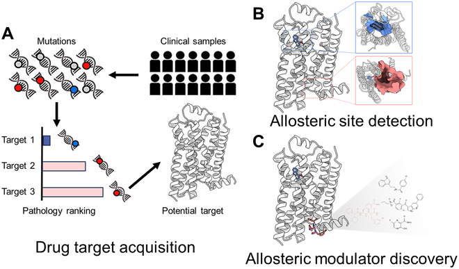 PUBLISHED: A Structure-Based Allosteric Modulator Design Paradigm Click here to read the latest free, Open Access article from Health Data Science, a Science Partner Journal: spj.science.org/doi/10.34133/h…
