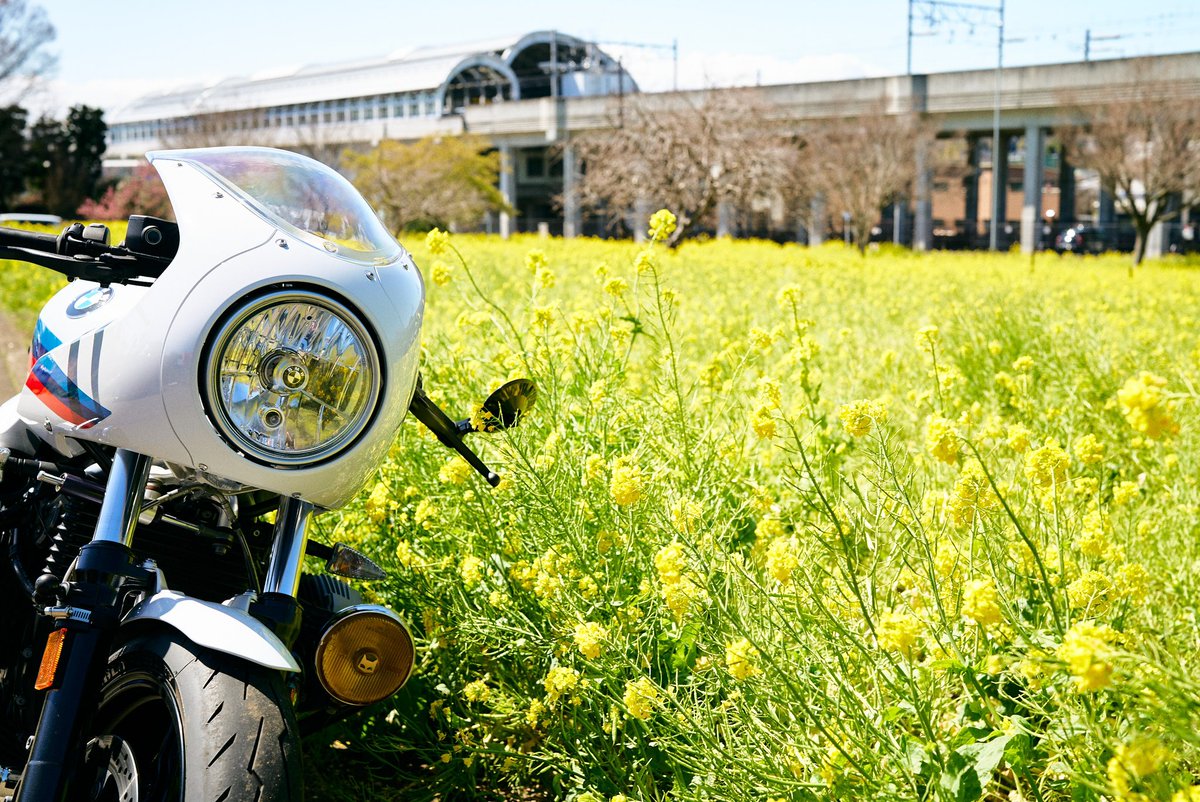 jittor9tracer's tweet photo. 来週には桜も咲き始めるかな。
#r9t #r9tracer #rninet #rninetracer #scproject #caferacer #motercycle #amwrninet #custom #bmwmotorrad #boxermotor #motovlog #川和町 https://t.co/OIPP9F4sVg