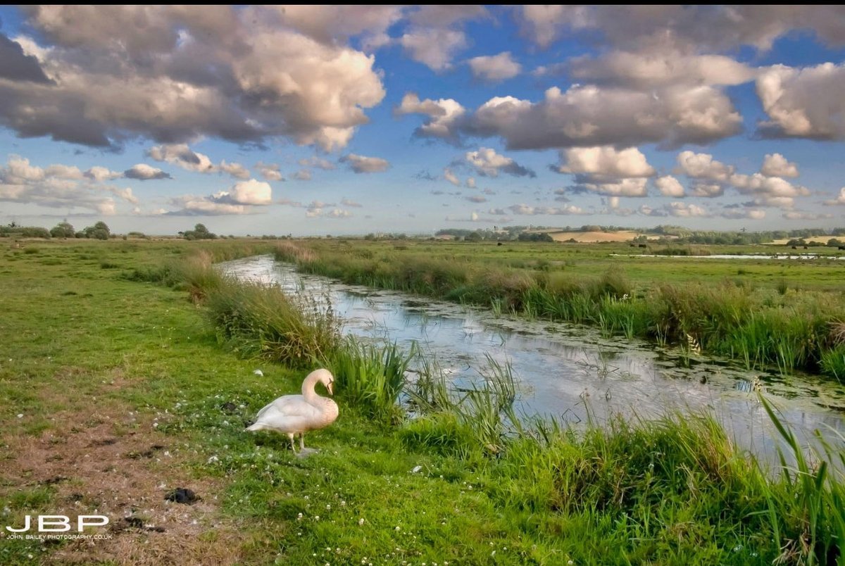 JBPhotos_UK's tweet photo. Return to Swan River…
(3 years later..)
“Where is he, off drinking with his mates again?!”
#morelikeSpring #Swans #River #Nature #riverside #photography https://t.co/7pt8yLGtAT