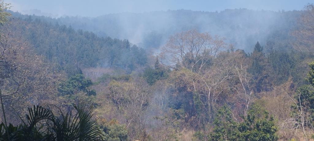 UrbElNaranjalii's tweet photo. Todavía con focos de incendio en el cerro #ElCafe #Naguanagua los bomberos forestales y personal de distintos grupos de emergencias siguen su lucha https://t.co/K8aLHmU5AJ