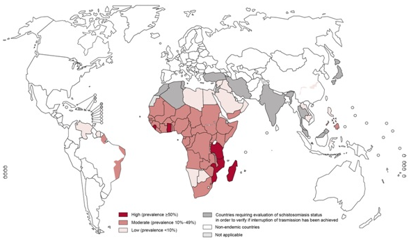 Where to find your Schistosomiasis
250 MILLION cases a year. 
Ouch!!!!