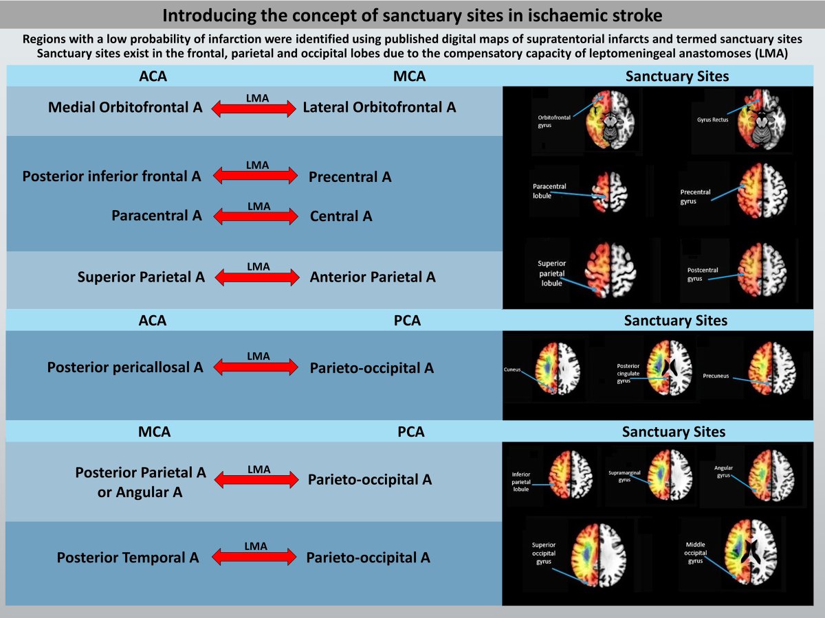 Stroke AHA/ASA tweet media