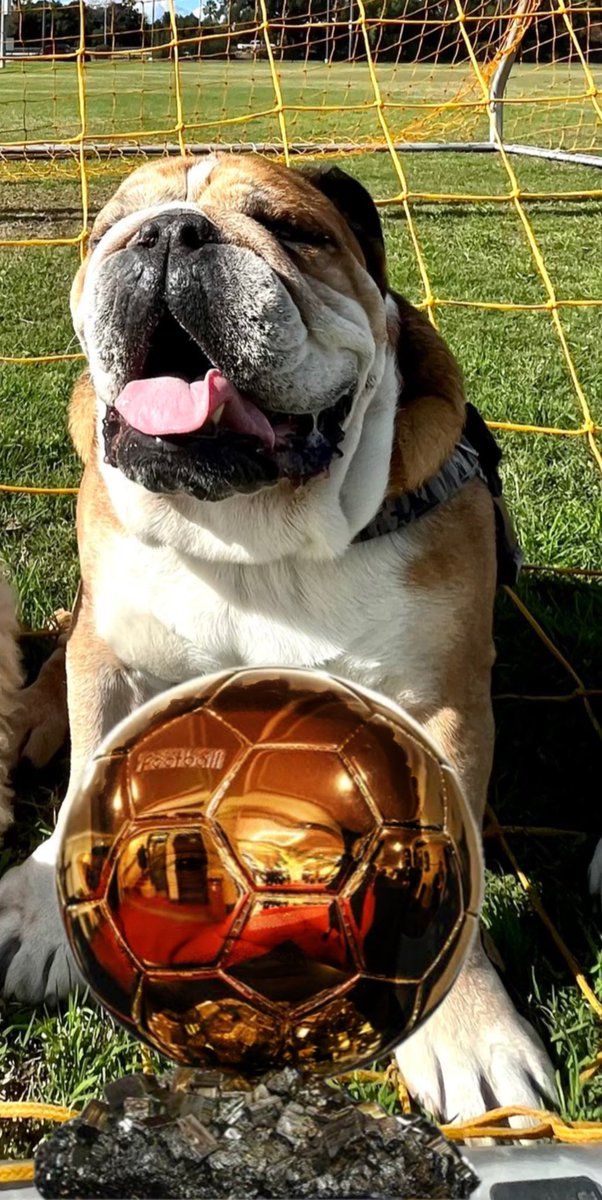 @LewisHamilton roscoe with his ballon d’or