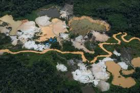 Illychparra's tweet photo. @LuisSucesosLuis Porq no difunden el desastre ambiental q está haciendo el gob Venezolano en el Amazonas con la extracción de oro y otros minerales https://t.co/56bhag6hD2