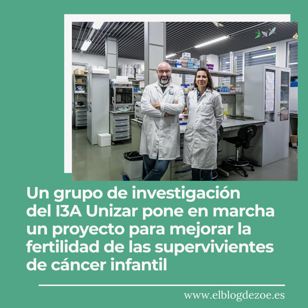 melzbentue's tweet photo. Qué suerte estar en la presentación de proyectos tan ilusionantes como este, #cancerinfantil #ingenieríabiomedica y #pacientes van de la mano
Y además trabajar con los investigadores @labTME 🤩 y colaborar con @aspanoa 🔝🔝
#ElBlogdeZoe 📰https://t.co/xiHcfHl7MS https://t.co/xdqaadasSb