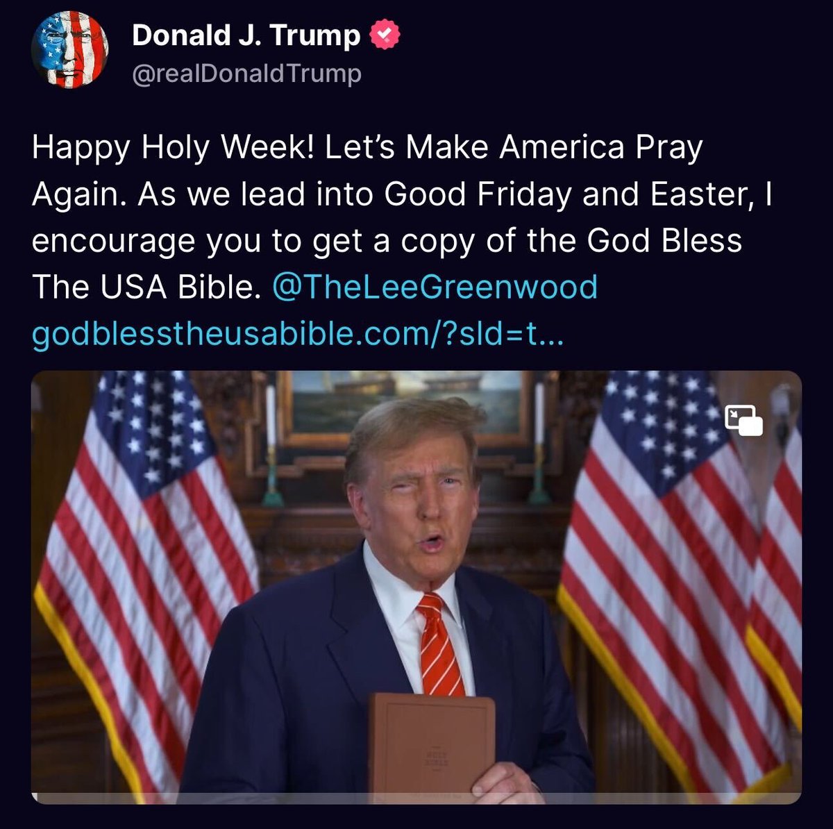 The Chosen One Donald Trump Bible Thou shall Lie, Thou shall steal, commit Adultery, Fraud, Treason, pedophile, rapist, indicted 4 times and has 91 felonies, cheats on his taxes, golf, Bangs porn stars, sells off classified documents etc...