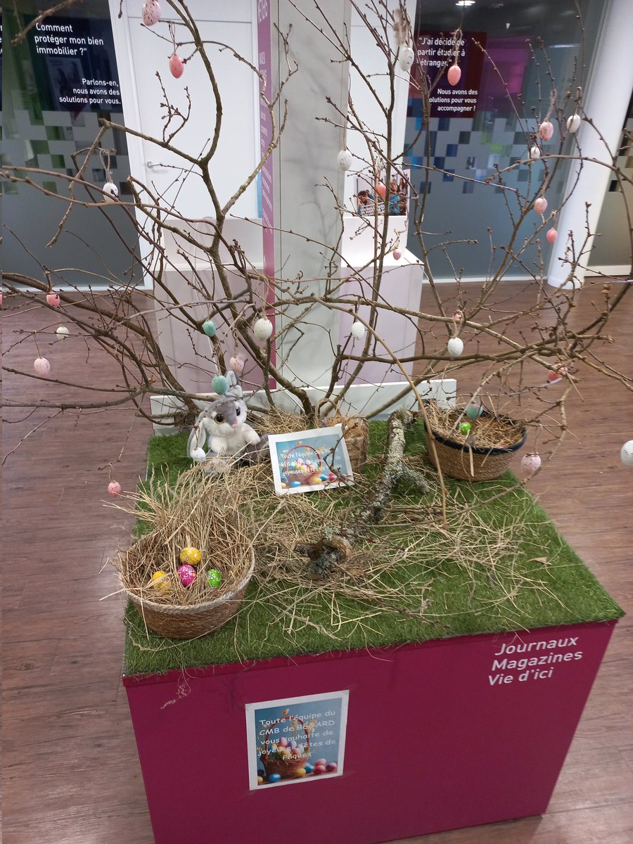 CMB BEGARD tweet media