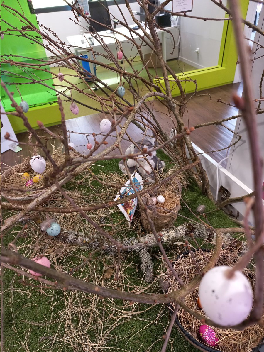 CMB BEGARD tweet media