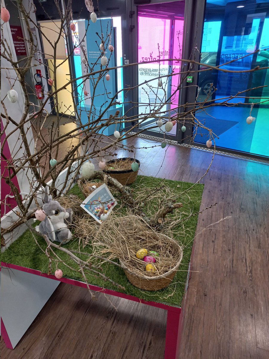 CMB BEGARD tweet media