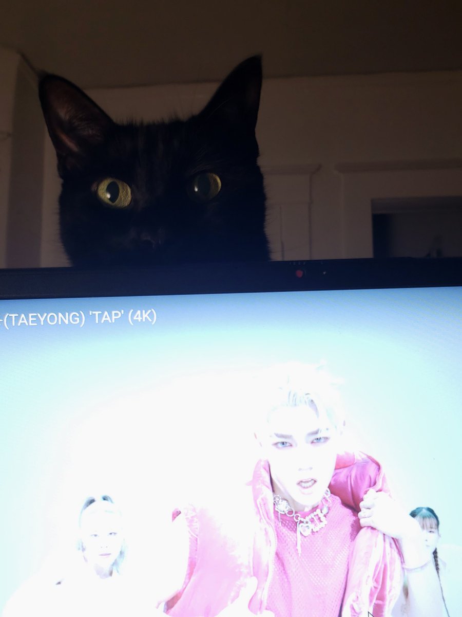 ChocoWaters's tweet photo. My cat is interested in Taeyong. #NCT #TAEYONG https://t.co/1myW5osqRZ