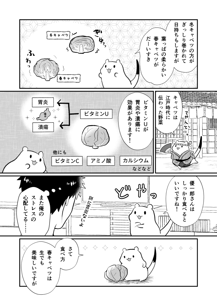 おこじょさんとキャベツステーキ 