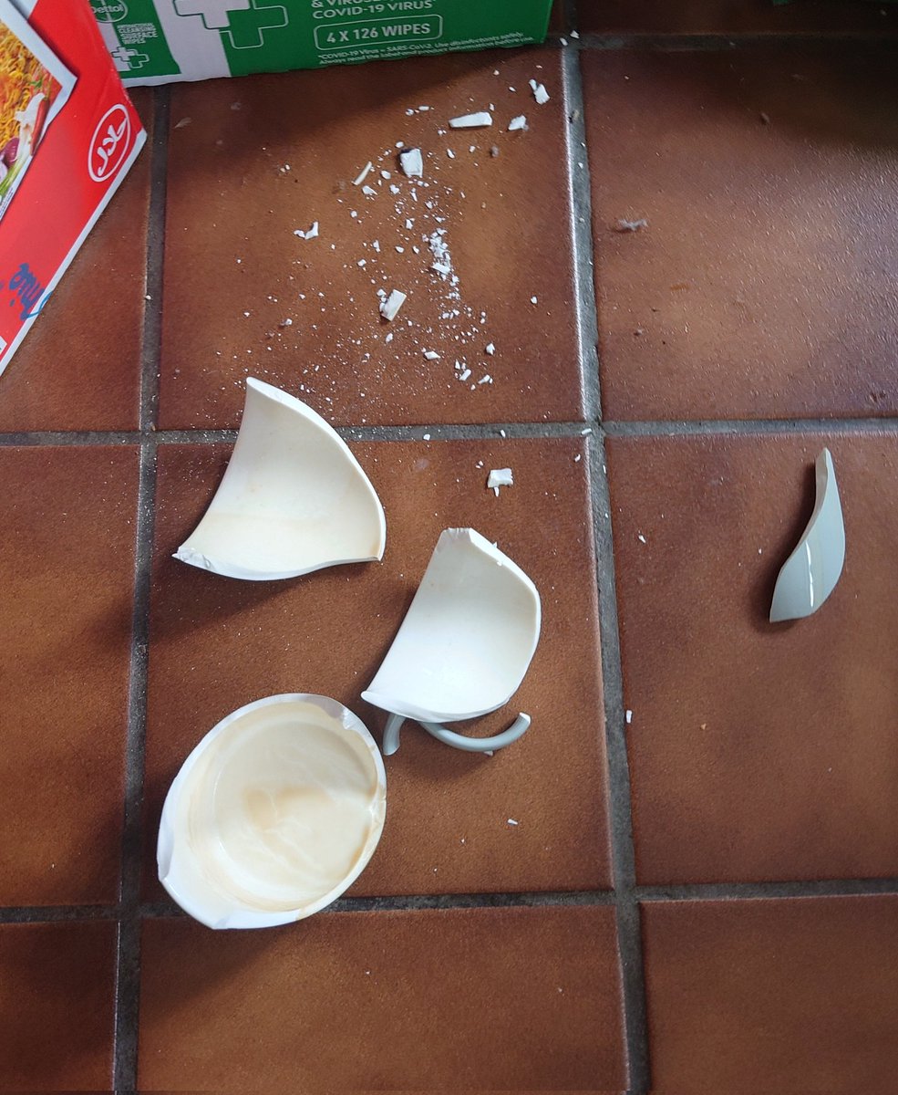 bumblebreeze DIVEST tweet media