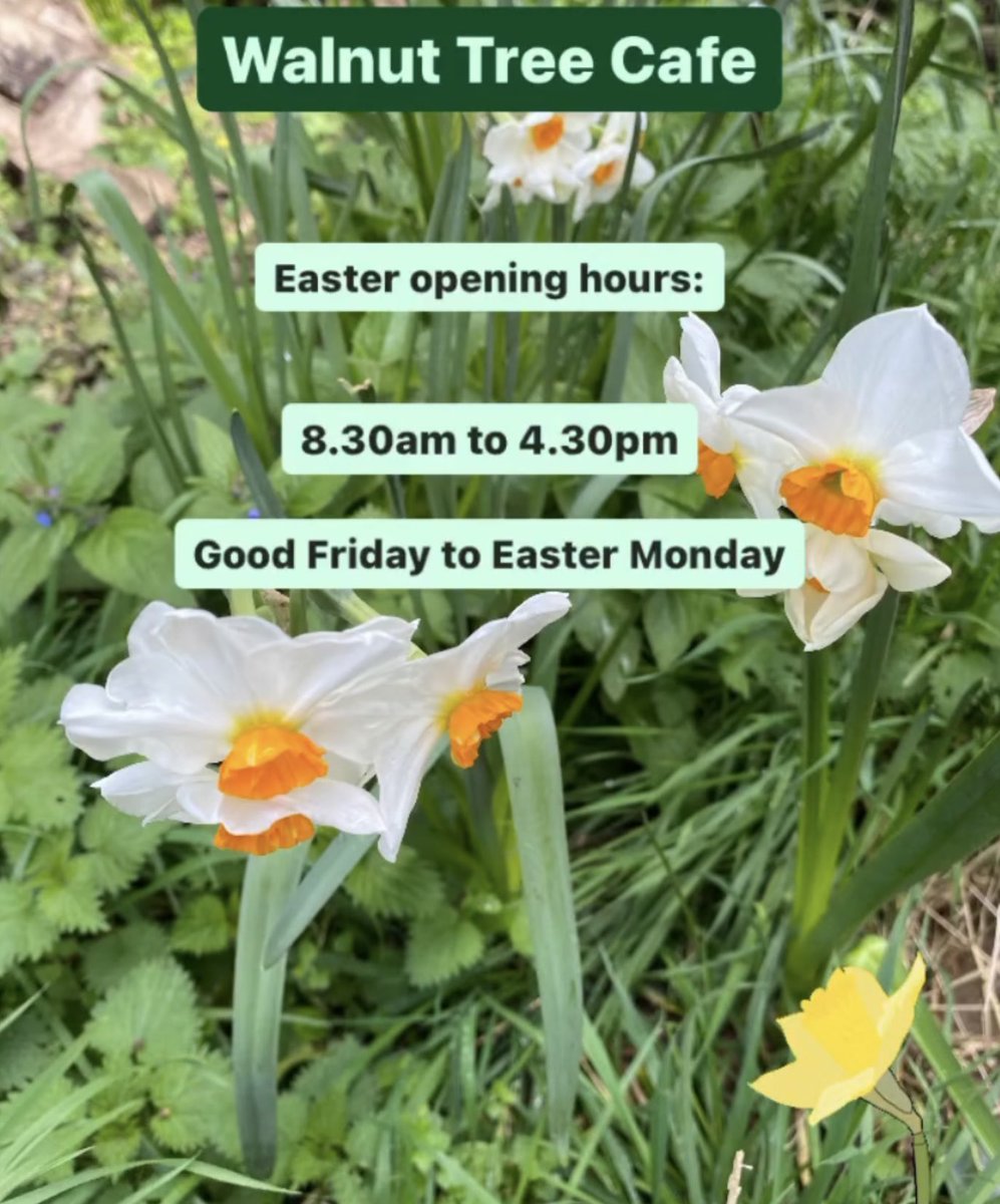 Walnut Tree #Cafe at Sands End Arts & Community Centre is open every day over the #Easter weekend #bankholiday. We’ll put tables outside, just in case the ☀️ shines brightly. #seaccfulham #communitycentre #artscentre #walnuttreecafe #southparkfulham #parsonsgreen #fulham 🐣
