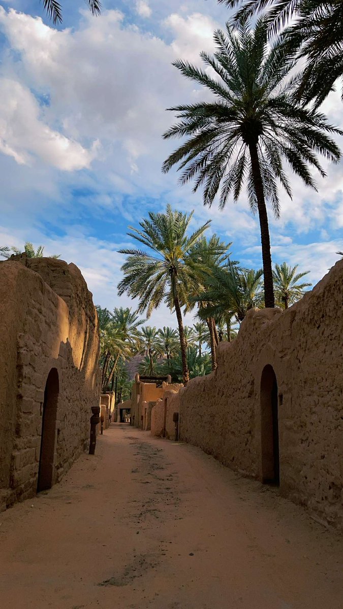 TSP_Geographic's tweet photo. المزارع في #العلا, شمال غرب المملكة العربية #السعودية 🇸🇦 https://t.co/Y5reXT9BO7