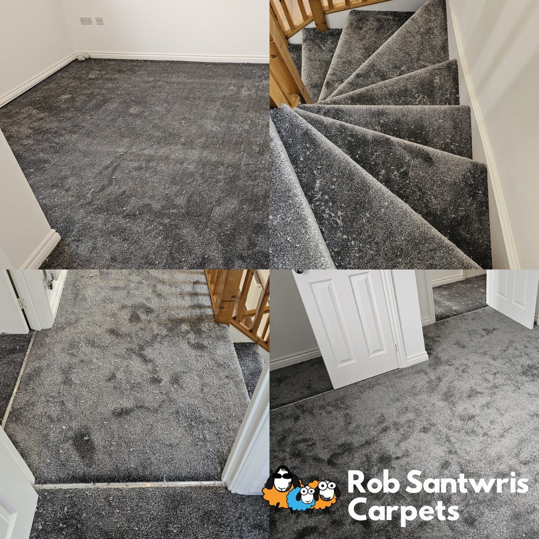 New project! 🔨 How gorgeous do these carpets look - so plush and thick! 😍 Looking to revamp your floors? Get in touch with us today! Free measure quote and GRIPPER! 💪 📲01633 253724 🌐robsantwriscarpets.co.uk #RobSantwrisCarpets #Flooring #Carpets #NewProject #FreeGripper