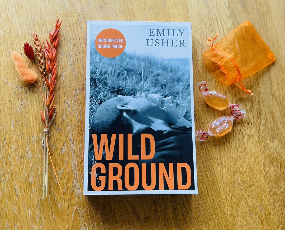 Thank you so much to @serpentstail for my gorgeous copy of #WildGround by @emusherwriter which is out in May. This is Neef and Danny’s story, and how from the moment they meet, they are destined to be in each other’s lives forever. I think it sounds fabulous!