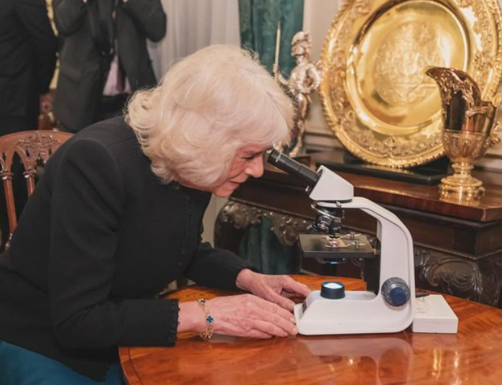 BritishNeuro's tweet photo. The Queen is looking at human hippocampus dentate gyrus through @TSpiresJones “travel” microscope.
#brainhealth #reading #neuroscience https://t.co/db2ACeEp3n