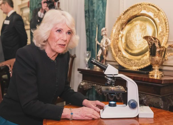 BritishNeuro's tweet photo. The Queen is looking at human hippocampus dentate gyrus through @TSpiresJones “travel” microscope.
#brainhealth #reading #neuroscience https://t.co/db2ACeEp3n
