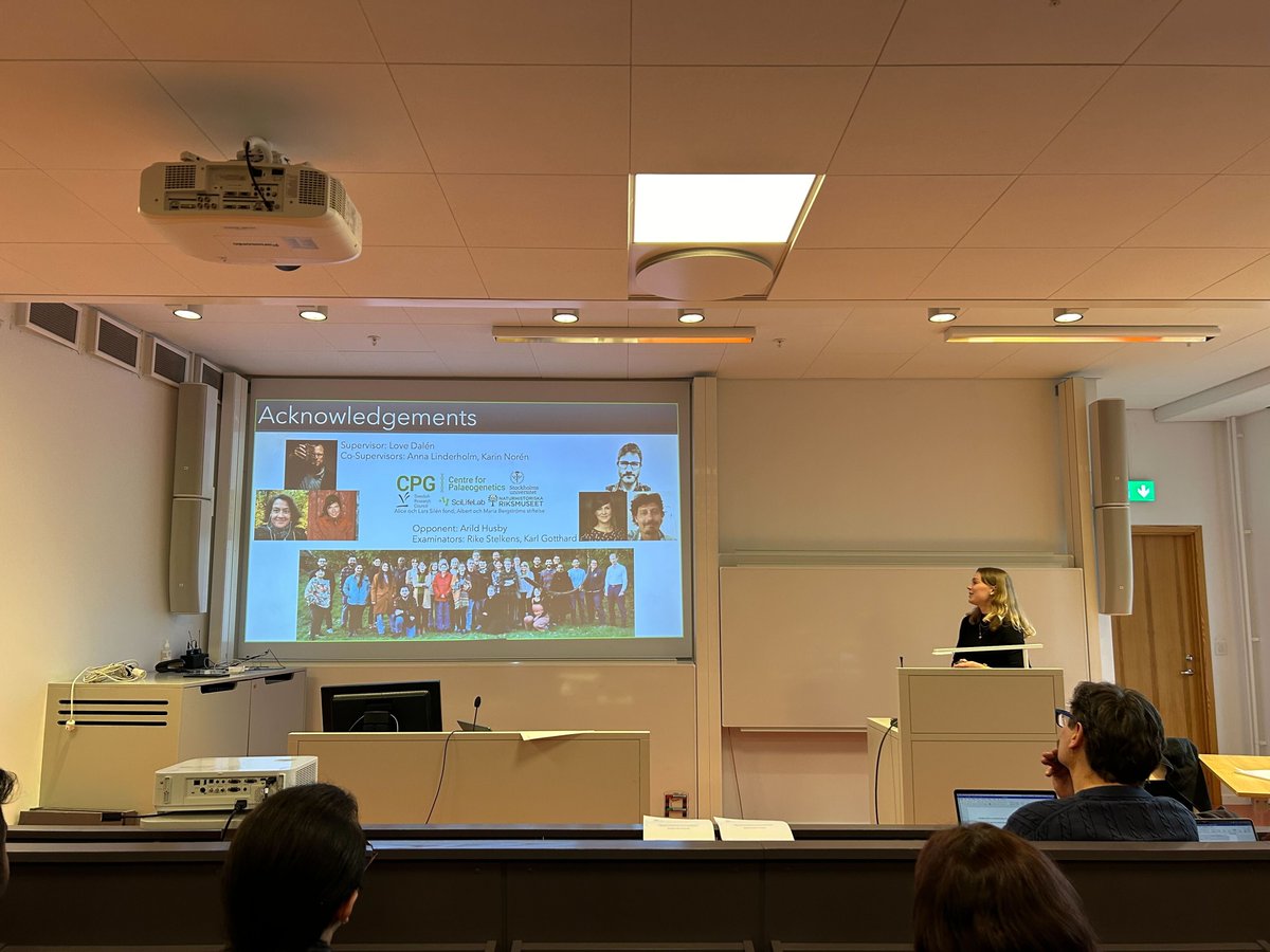 Congrats to @IsaFeinauer🎉 for the successful Licentiate examination (with Arild Husby as opponent) with her PhD work on the population genomic history of Scandinavian brown bears!!! 🐻🧬