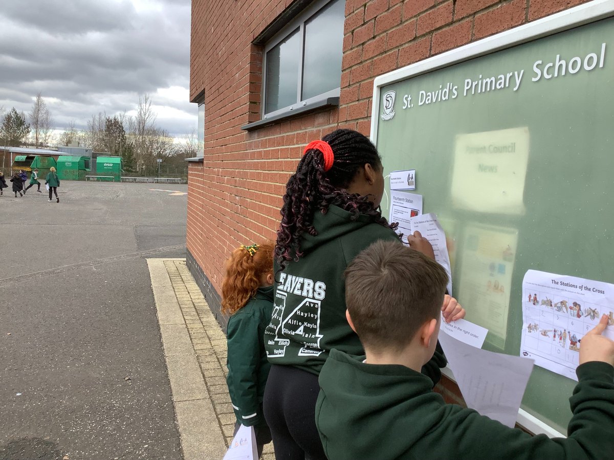 St. David's Primary tweet media