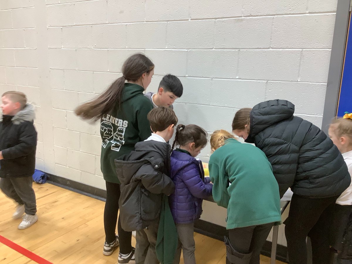 St. David's Primary tweet media