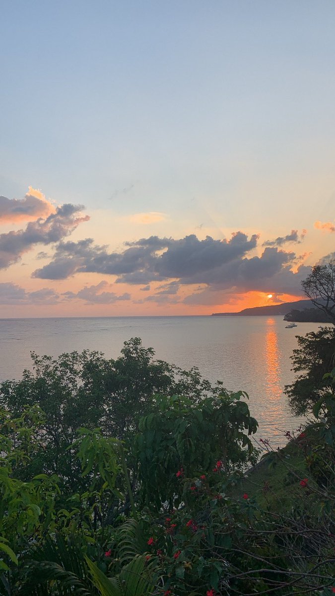 Rawuncutsja's tweet photo. Good morning 🇯🇲 https://t.co/Ok4dcIXDdB
