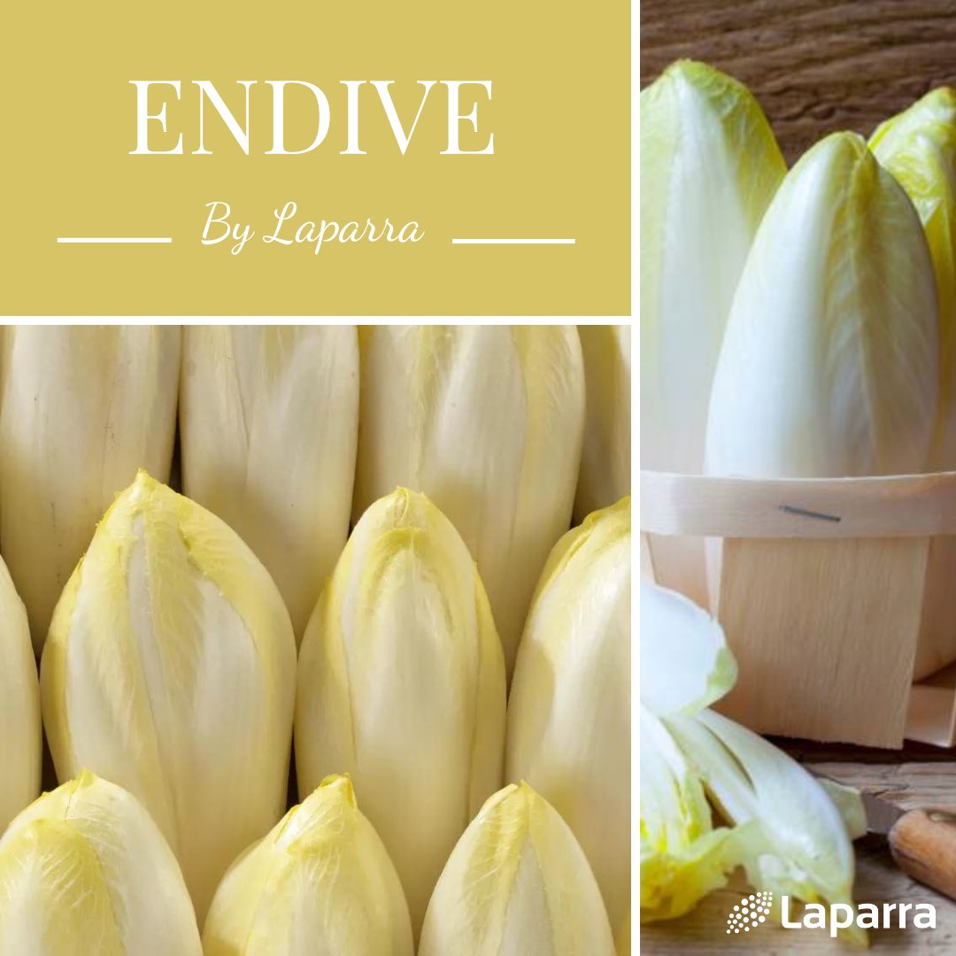 Ne vous laissez pas intimider par son goût amer, car l'Endive est véritablement un  atout pour votre santé!
Riche en fibres, en vitamines (A,C,K) et en minéraux, ce légume est bénéfique pour vos os, votre cœur et votre digestion !
Retrouvez la chez Laparra ! 😉​
#Endive #Laparra