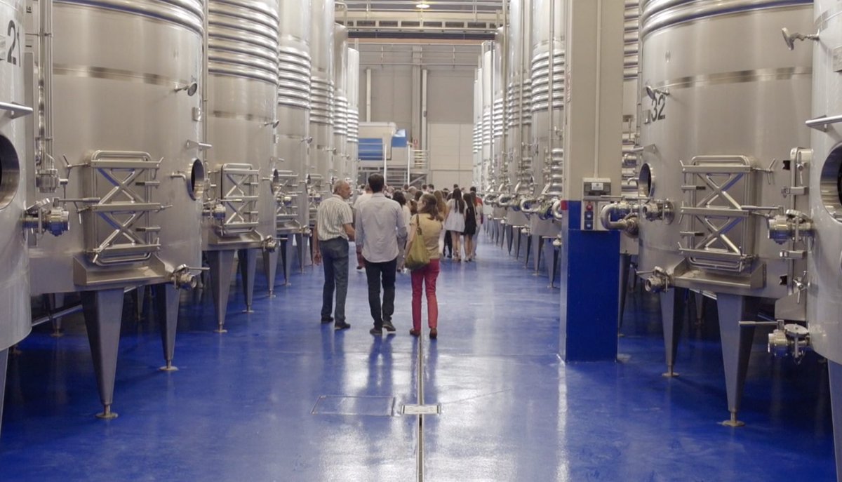FincasdAzabache's tweet photo. Visita nuestra #bodega #ViñedosdeAldeanueva Tenemos visitas con #catadevino  el 28 -29 - 30 y 31 de marzo a las 11:00 h. Reserva en 941163039 o en enoturismo@aldeanueva.com  Y nuestro #winebar abre en la temporada 2024. Ven a disfrutar de nuestros vinos  de 12:45 a 15:30 https://t.co/syKfV1OMsD