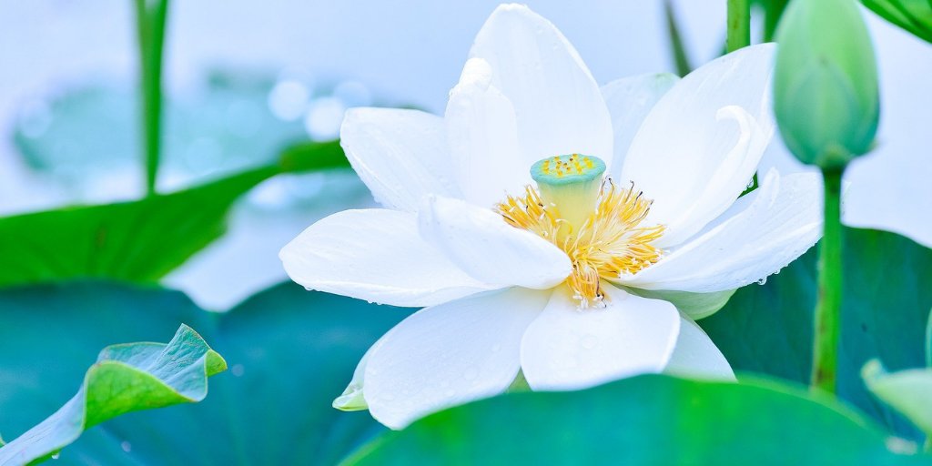 Great fullness seems empty.

― Tao Te Ching