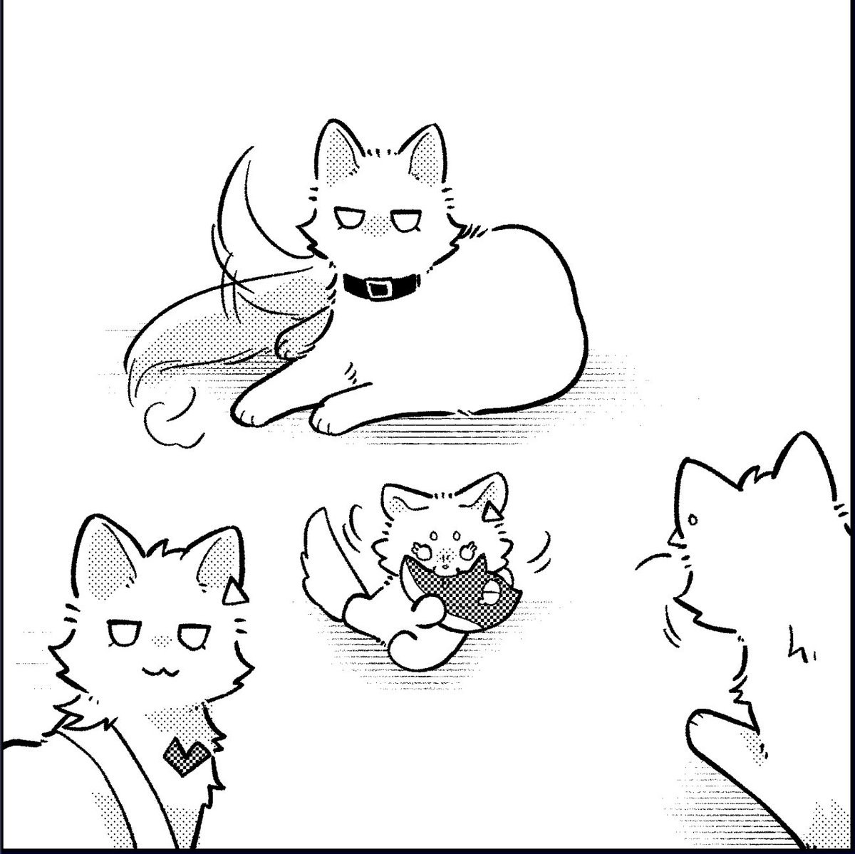 おキャット=^・ω・^= 