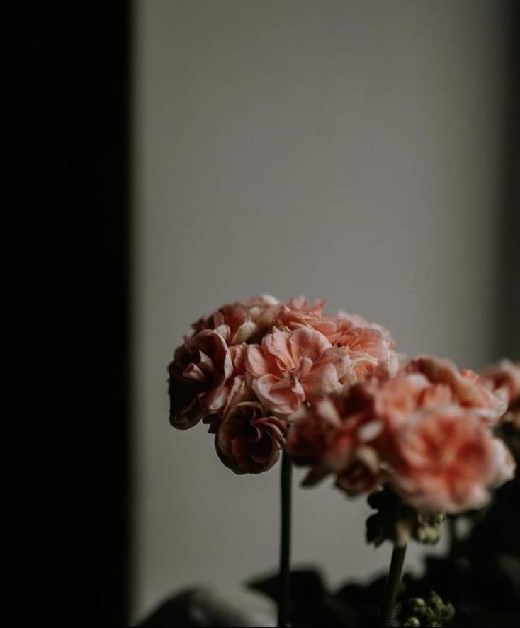 sunflow23002724's tweet image. ฉันไม่ได้ดีขนาดนั้น ใครๆก็ผิดหวังในตัวฉัน ขนาดฉันยังผิดหวังในตัวเองเลย.🫥