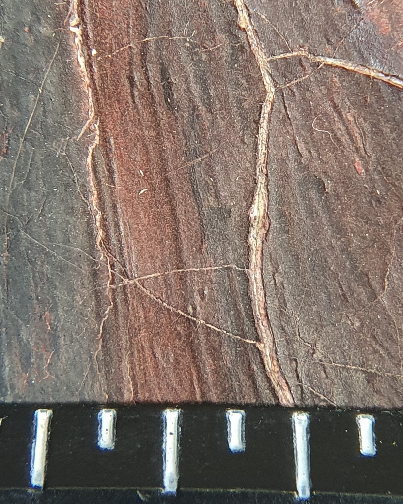 Fine Art Restoration Company tweet media