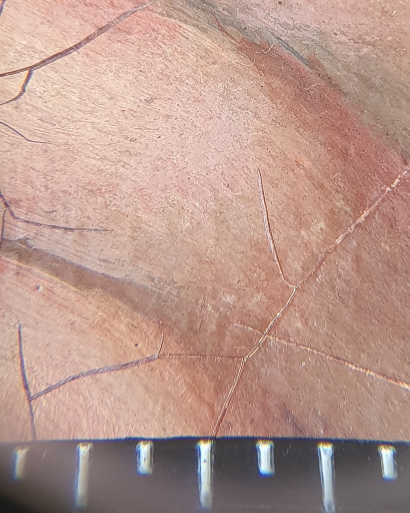 Hairline cracking as seen through the microscope🔬

#art #painting #fineart #oilpainting #artwork #closeup #artrestoration #artconservation #restoration #conservation #artlover #arthistory