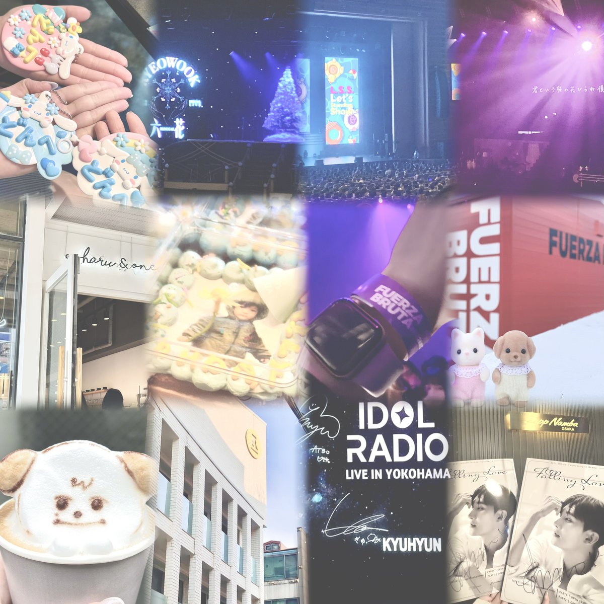 OO2FA7's tweet photo. 🤍0n line
💙SUPER JUNIOR

🤍ドンヘちゃん🐶キュヒョンさん🐶
🤍ヒチョルさん🍒ヒョクチェさん🌙

🤍♡orRTで気になる方お声がけさせてください泣

🤍#ELFと繋がりたい
🩵#SJ好きと繋がりたい
💙#SUPERJUNIOR好きな人と繋がりたい https://t.co/4Uf5LL6rRh