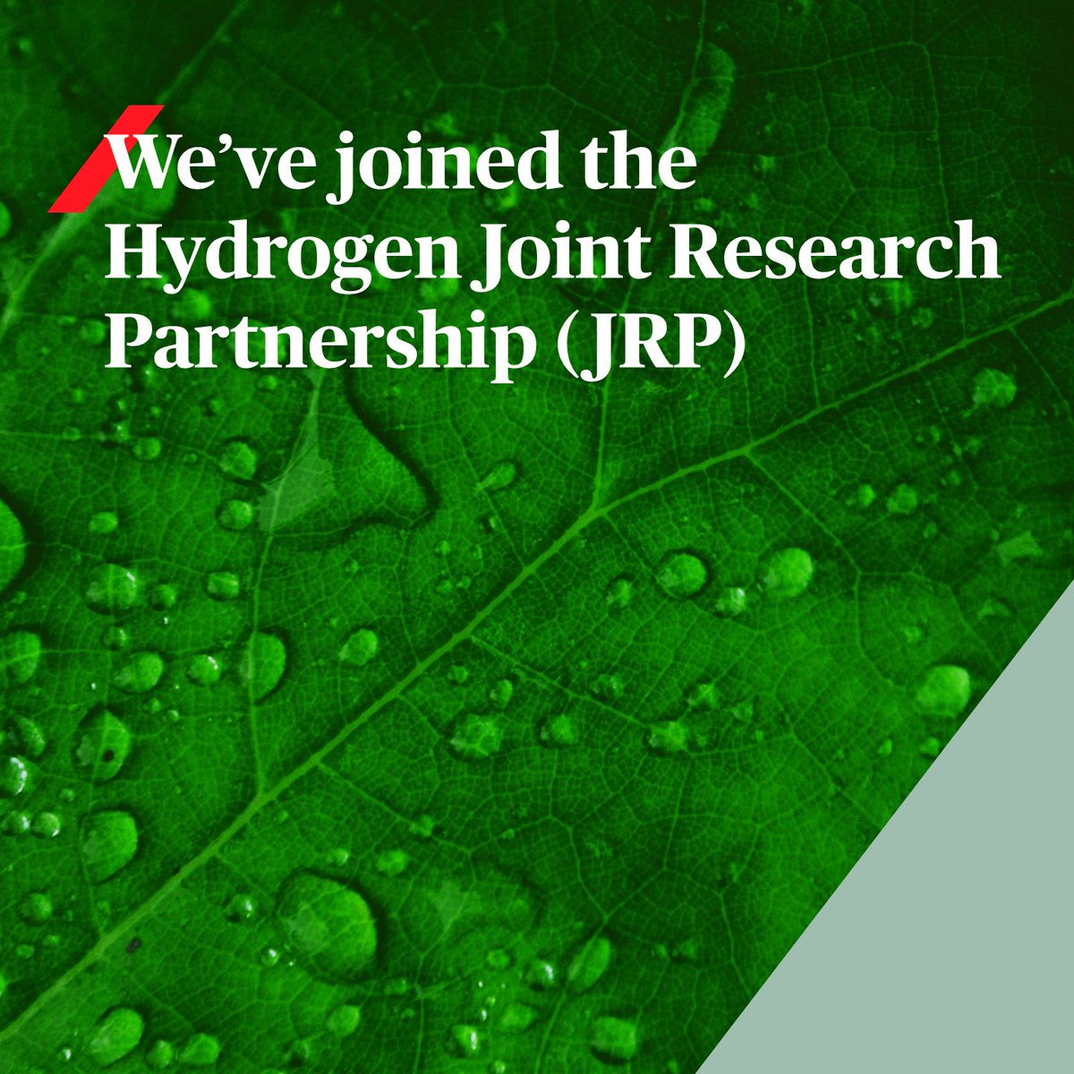 What's the role of hydrogen in decarbonization? ♻️ We're partnering with the Hydrogen Joint Research Partnership (JRP), a project led by @polimi and @FondaPoliMi, to explore this critical question. More about Hydrogen JRP 👇🏽 fondazionepolitecnico.it/en/initiatives…