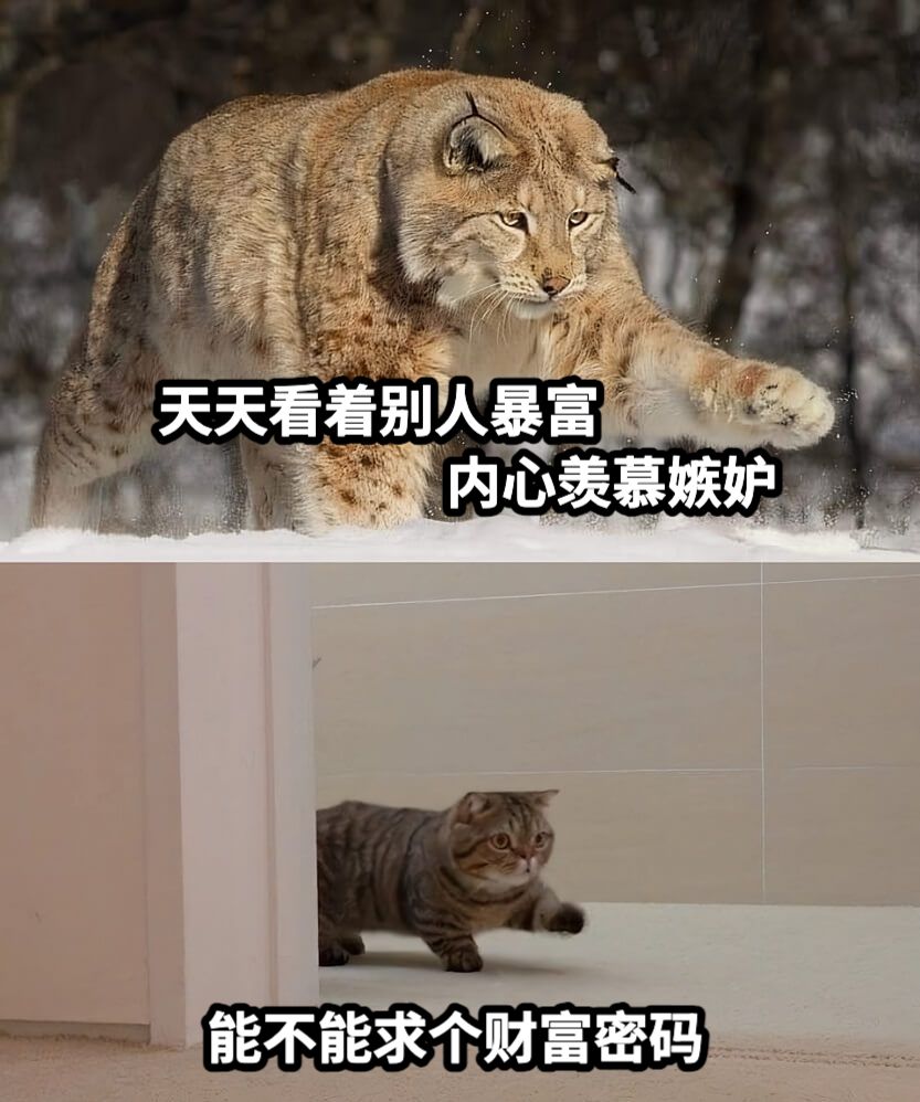 😿还在加班的小编深刻反思，为什么别人都财富自由了，我还没有？
👉听说 #币安 出了个 #Web3 帕鲁日志？
👿你们想看吗？我也可以吐槽！
但你要用财富密码和我交换，评论区坐等😻