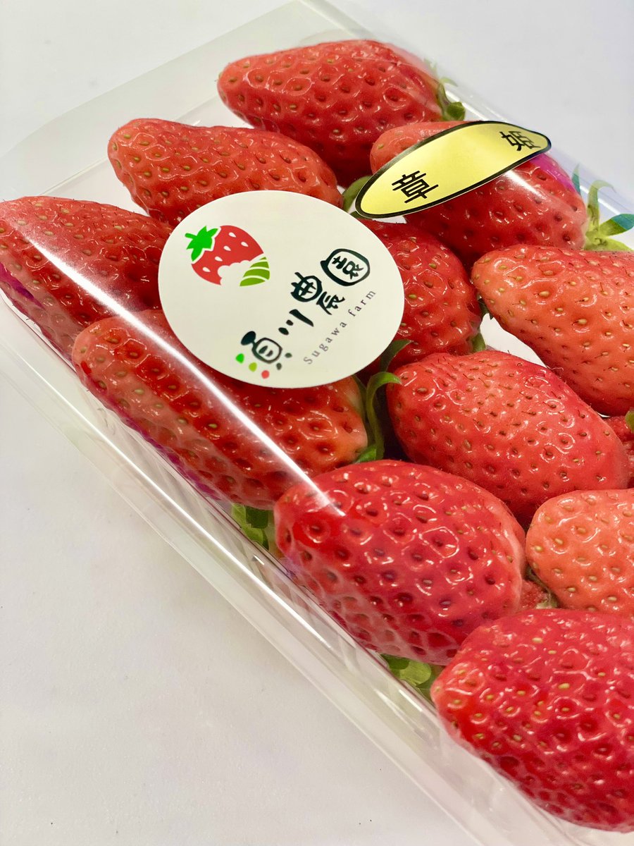須川農園の宝石のようなイチゴ🍓
人や環境に配慮した農業を信条に作られ、とびきりおいしいです！
そのおいしさの理由を取材しました。
↓
hagi-gochi.jp/producers/suga…

#山口県産イチゴ
#道の駅ゆとりパークたまがわ
山口県の依頼で県産農林水産物を #pr  #ぶちうま100  OFP_HAGIでした。