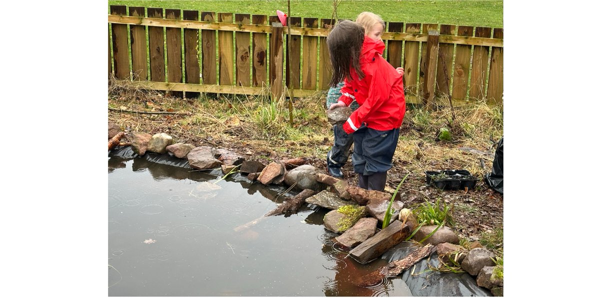 Mrs Carnegie &amp; our P1-3 class put some rocks around our pond so wildlife can get in and out of the pond safely. They also added some pond plants and some giant daisies. We hope that the pond plants will help provide oxygen to the water so that more life can survive in there.